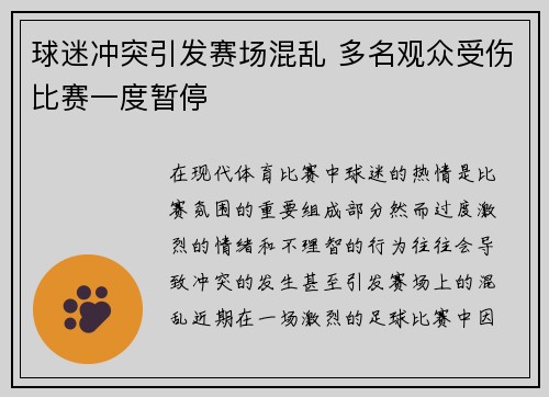 球迷冲突引发赛场混乱 多名观众受伤比赛一度暂停