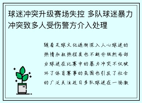 球迷冲突升级赛场失控 多队球迷暴力冲突致多人受伤警方介入处理