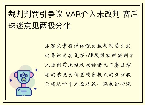 裁判判罚引争议 VAR介入未改判 赛后球迷意见两极分化